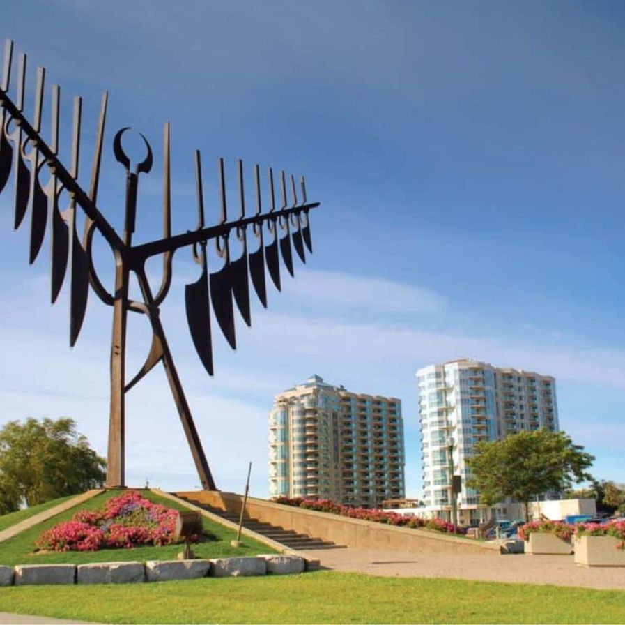Sprit-Catcher-scaled-Barrie - Medi Hair Loss & Scalp Clinic Barrie, Ontario